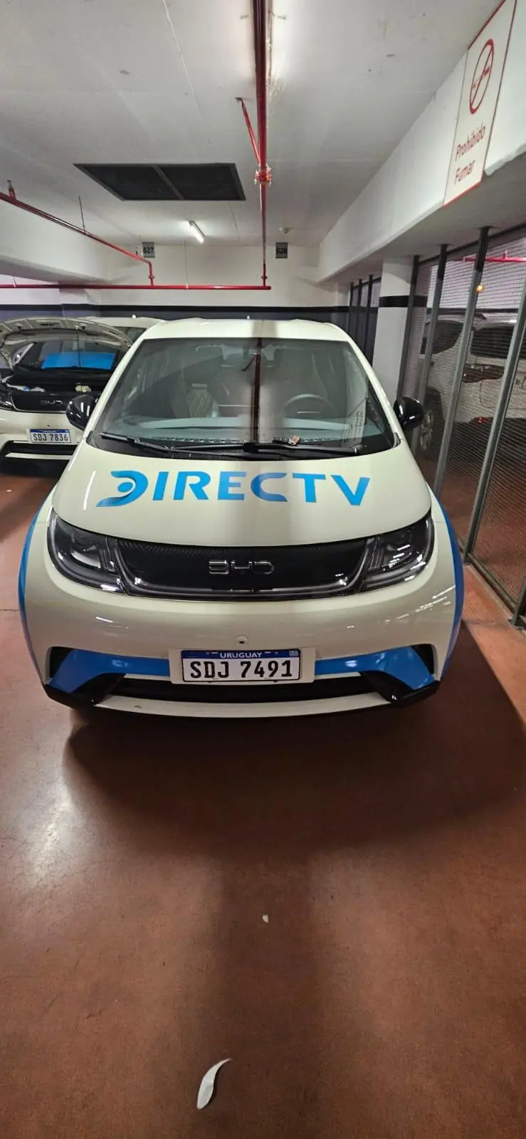 Proyecto Ploteo Vehicular 11