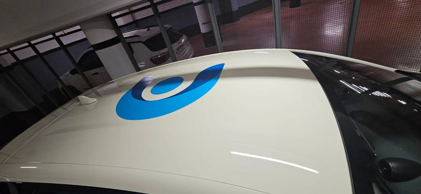 Proyecto Ploteo Vehicular 13