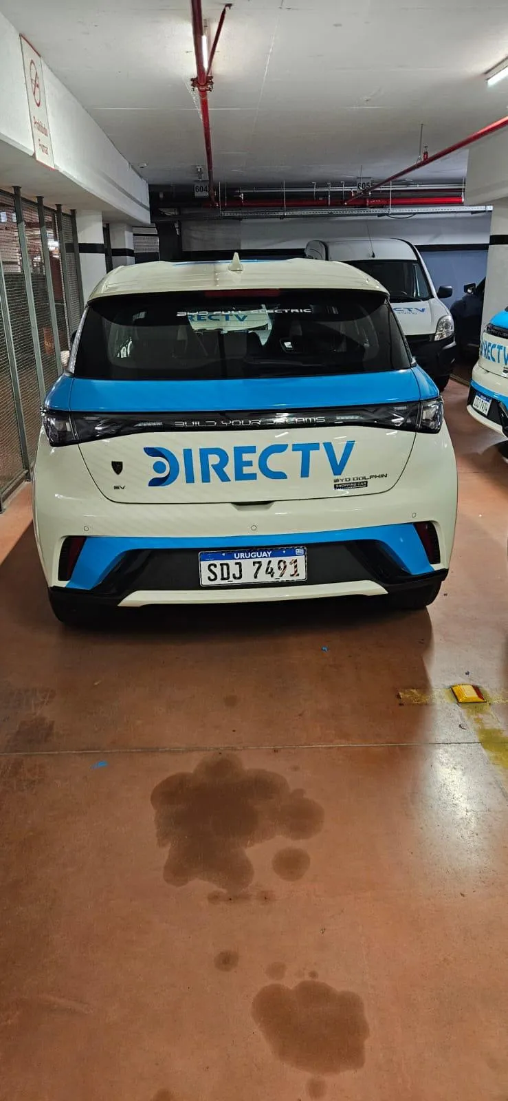 Proyecto Ploteo Vehicular 14